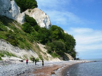 mon-2012-stevns-klint